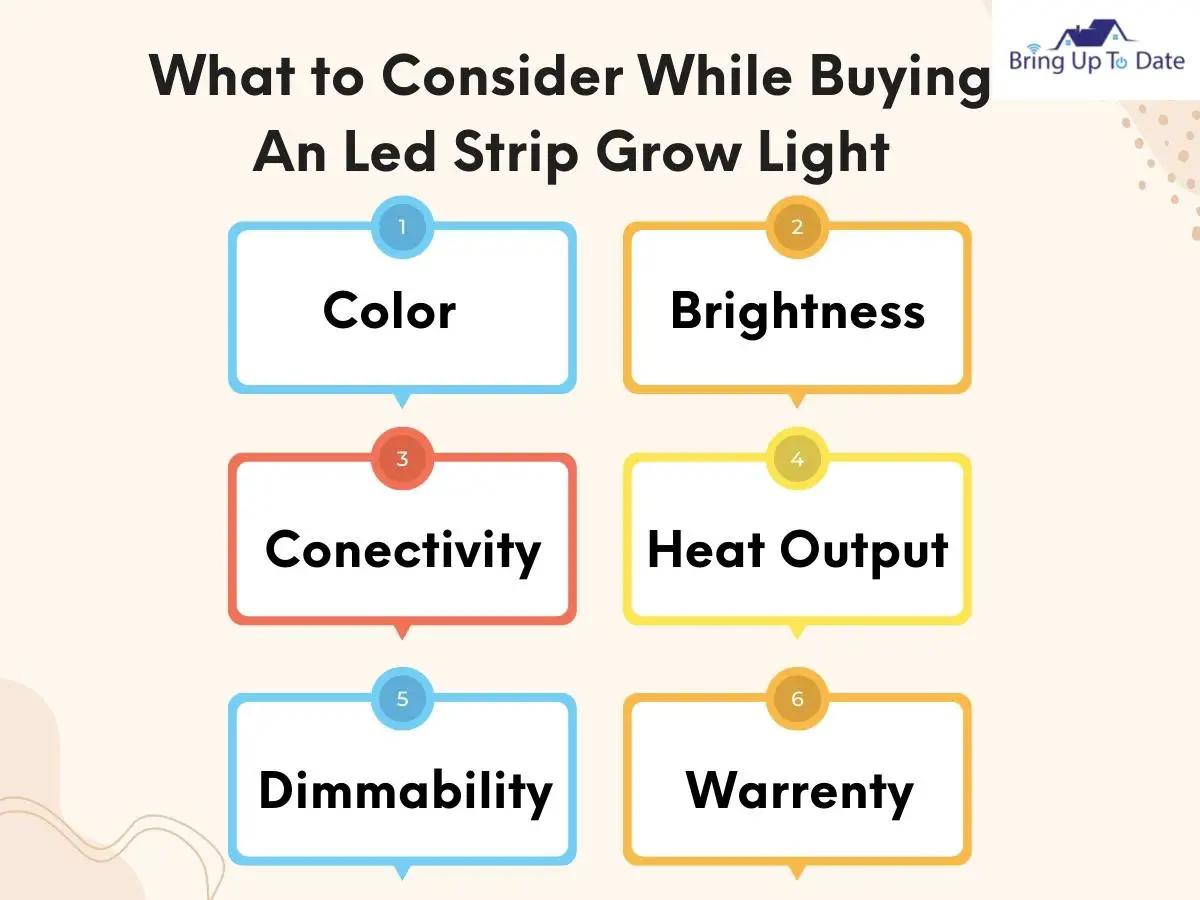 How To Choose The Best Grow Light For Your Plants?