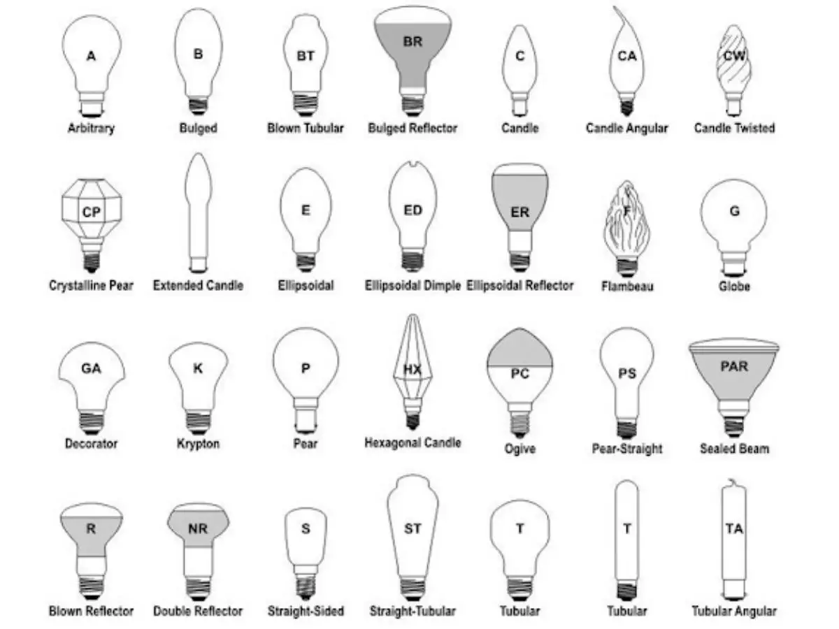 Light Bulb Shapes