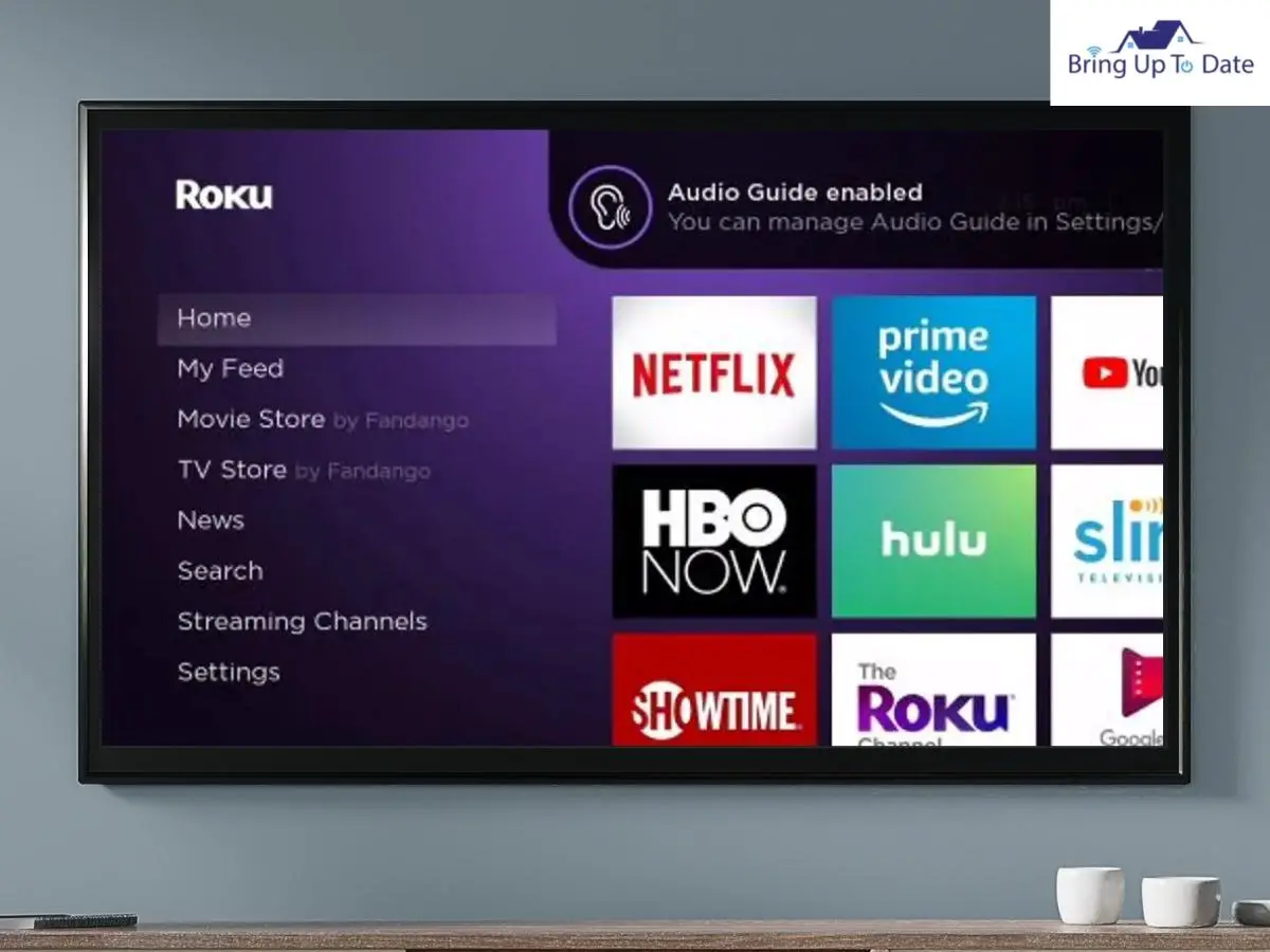 Why Is My Roku Narrating Everything?